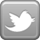 Squarelet on Twitter